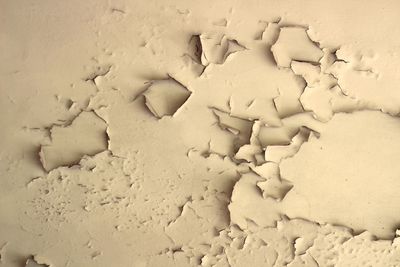 High angle view of cookies on sand