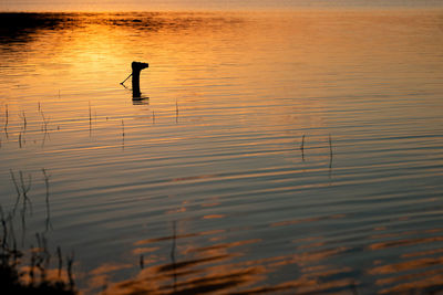 Silhouette bird on lake against sky during sunset