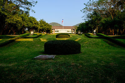 Lawn in park