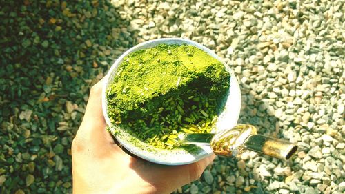 Cropped hand holding cup with yerba mate on field