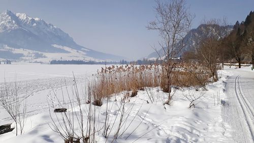 Scenic view of frozen lake against sky during winter