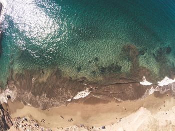 Scenic view of beach