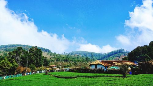 Panoramic view of houses and trees against sky