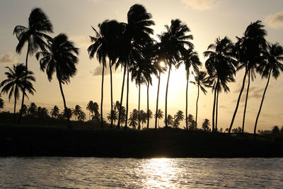 Silhouette palm trees against sky during sunset