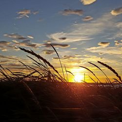 Scenic view of sunset sky