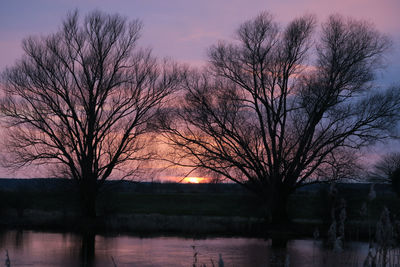 Silhouette tree by havel river during sunset