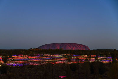 Illuminated plants against blue sky at night