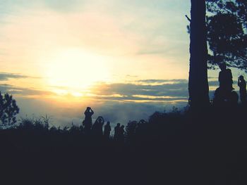 Silhouette of trees at sunset