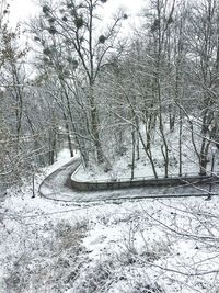 Bare trees on snow covered road
