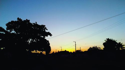 Silhouette trees against sky during sunset