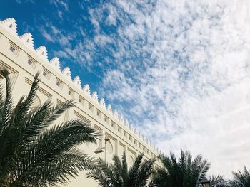 Low angle view of palm trees against sky