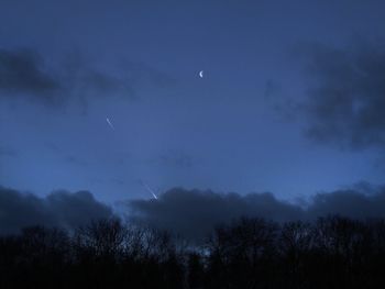 Low angle view of trees against sky