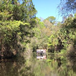 Boats in river