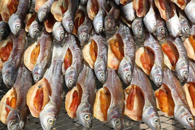 High angle view of fish for sale at market stall