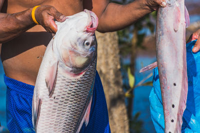 Close-up of hand holding fish