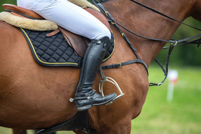 Midsection of horse in ranch