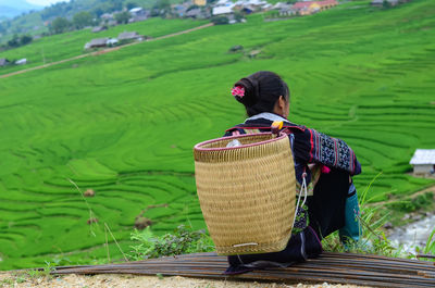 Rear view of woman with basket sitting against terraced field
