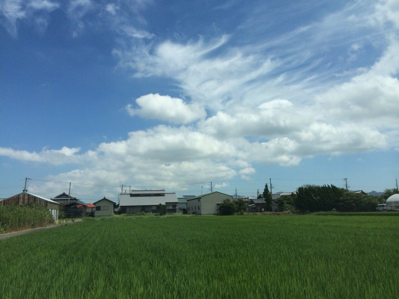 field, grass, agriculture, rural scene, sky, landscape, farm, green color, growth, tranquil scene, tranquility, cloud - sky, grassy, nature, crop, beauty in nature, cultivated land, scenics, cloud, day