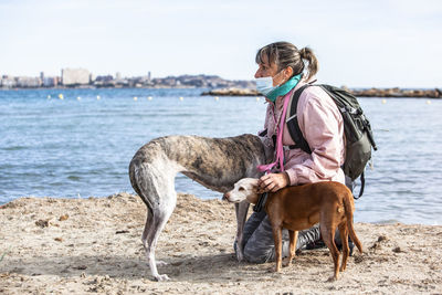 Full length of a horse on the beach