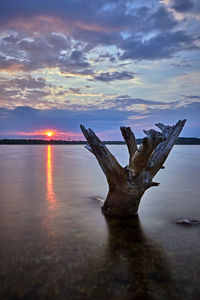 Driftwood on beach against sky during sunset