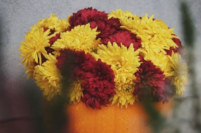 Close-up of yellow flowers