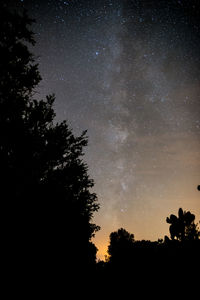 Low angle view of silhouette trees against sky at night