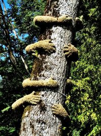 Low angle view of tree trunk in forest