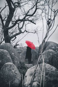 Red umbrella on bare tree against sky