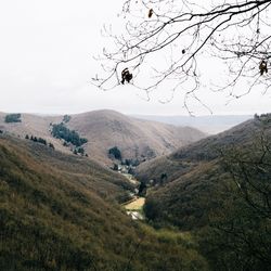 Scenic view of landscape against clear sky