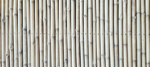 Full frame shot of bamboo