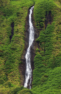 Scenic view of waterfall