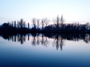 Reflection of trees in lake against sky