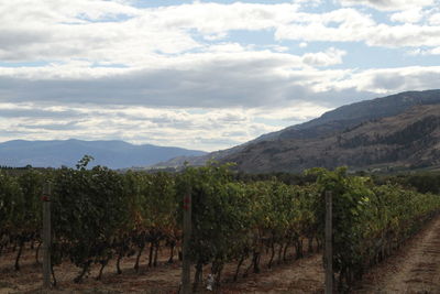 Scenic view of field and mountains against sky