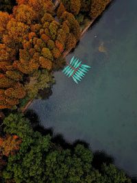 High angle view of trees by lake