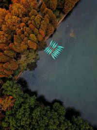 Aerial view of boats on lake by trees during autumn