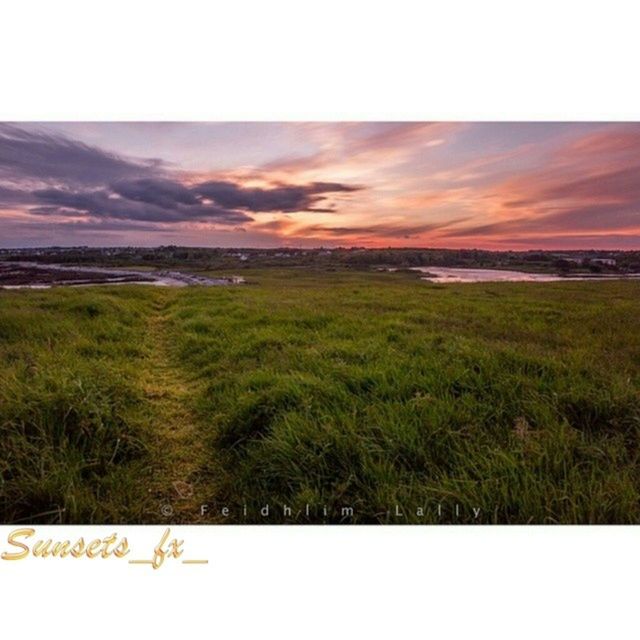 sky, landscape, tranquil scene, field, scenics, tranquility, sunset, grass, beauty in nature, cloud - sky, nature, auto post production filter, transfer print, tree, rural scene, horizon over land, growth, cloud, idyllic, water