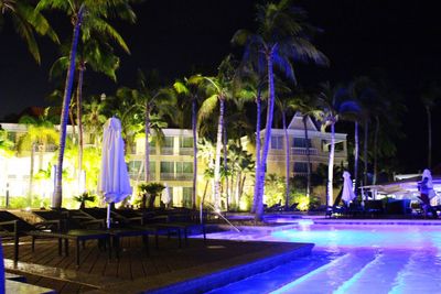 View of illuminated trees at night