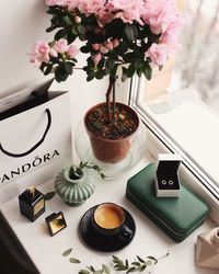 High angle view of potted plant on table