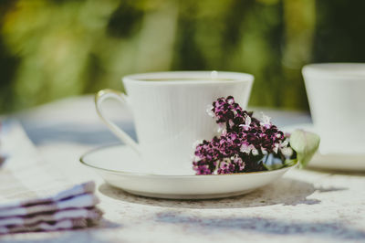 Close-up of coffee cup and flowers in saucer