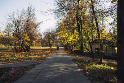 Rear view of people walking on footpath during autumn