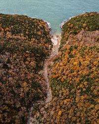 Scenic view of sea