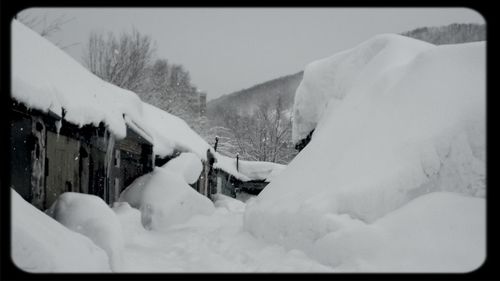 Snow covered landscape