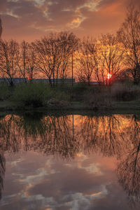 Reflection of bare trees in lake during sunset