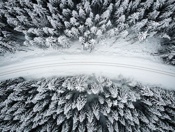 Scenic view of snow covered land