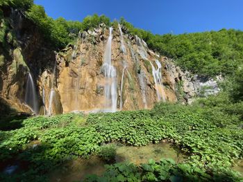 Scenic view of waterfall