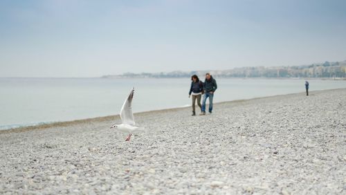 Scenic view of sea