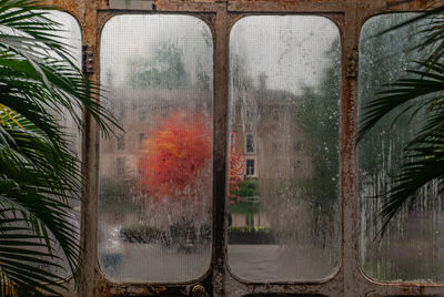 Reflection of trees on glass window