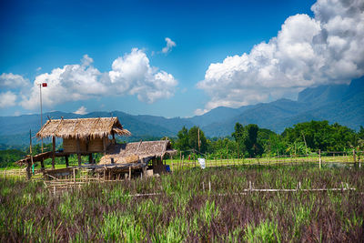 Scenic view of field by houses against sky