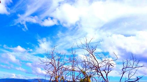 Low angle view of bare trees against cloudy sky