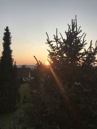 Silhouette tree on field against sky during sunset